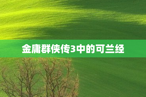 金庸群侠传3中的可兰经图片