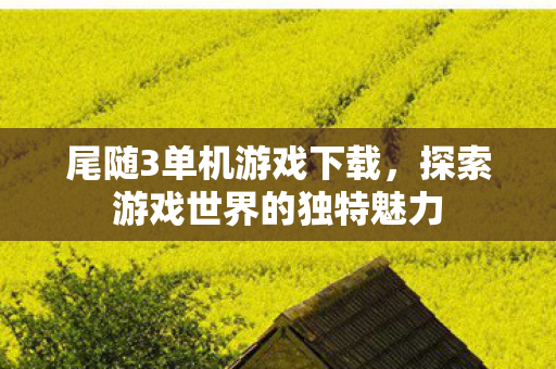 探索游戏世界的独特魅力图片