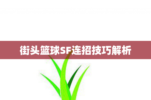 街头篮球SF连招技巧解析图片