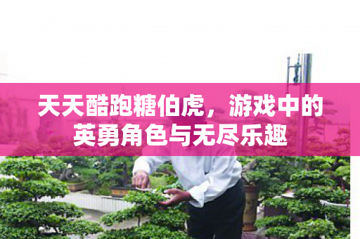 游戏中的英勇角色与无尽乐趣图片