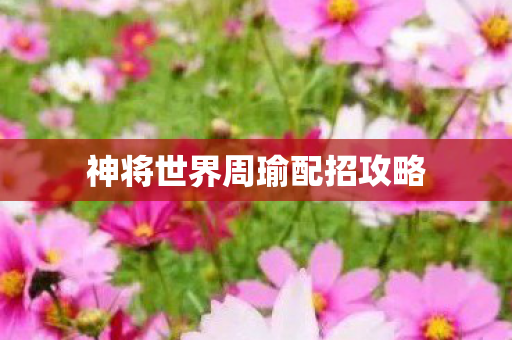 神将世界周瑜配招攻略图片