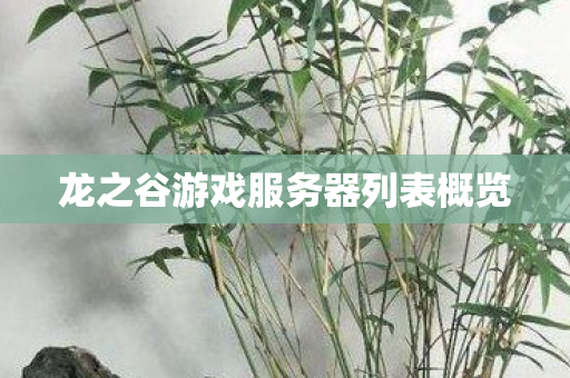 龙之谷游戏服务器列表概览图片