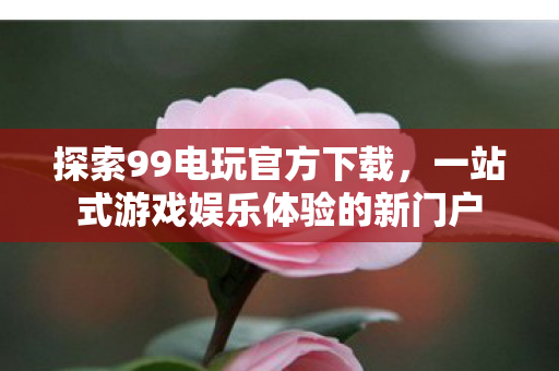 一站式游戏娱乐体验的新门户图片
