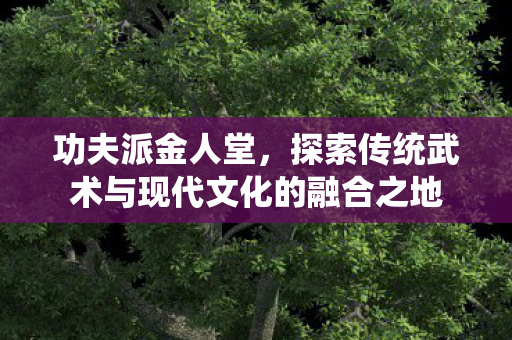 探索传统武术与现代文化的融合之地图片