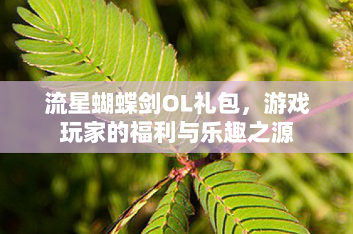 游戏玩家的福利与乐趣之源图片
