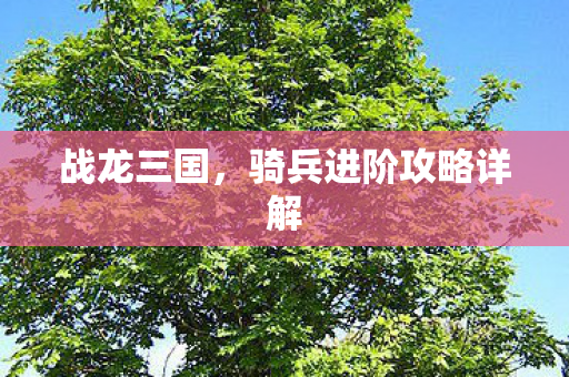 骑兵进阶攻略详解图片