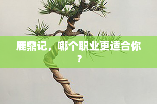 哪个职业更适合你图片
