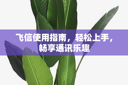 飞信使用指南图片