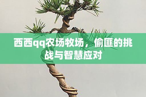 偷匪的挑战与智慧应对图片