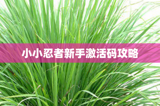 小小忍者新手激活码攻略图片