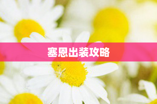 塞恩出装攻略图片