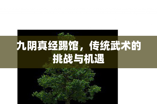 传统武术的挑战与机遇图片