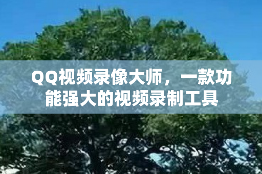 一款功能强大的视频录制工具图片