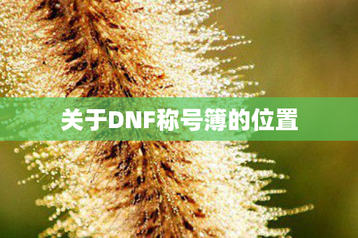 关于DNF称号簿的位置图片