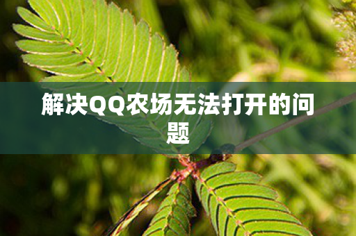 解决QQ农场无法打开的问题图片