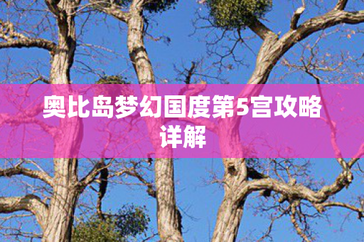 奥比岛梦幻国度第5宫攻略详解图片