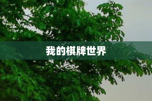 我的棋牌世界图片