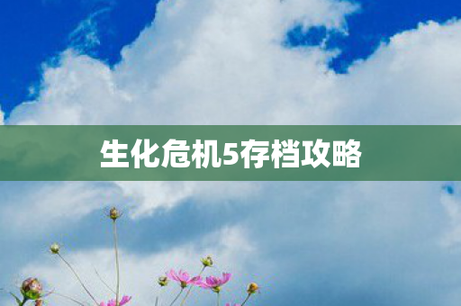 生化危机5存档攻略图片