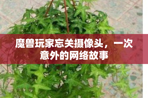 魔兽玩家忘关摄像头图片