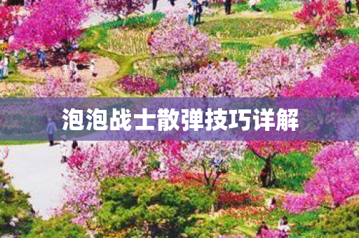 泡泡战士散弹技巧详解图片