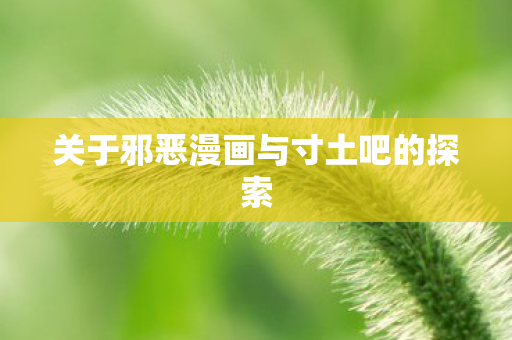 关于邪恶漫画与寸土吧的探索图片