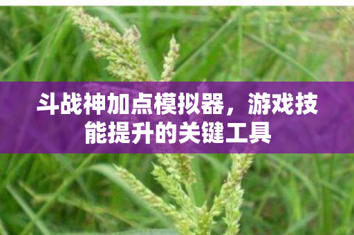 游戏技能提升的关键工具图片