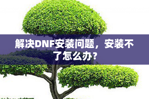 解决DNF安装问题图片