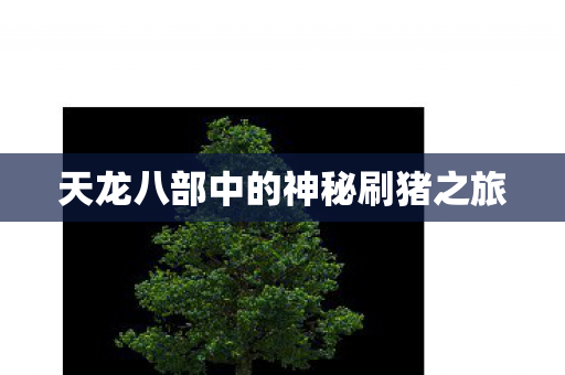 天龙八部中的神秘刷猪之旅图片