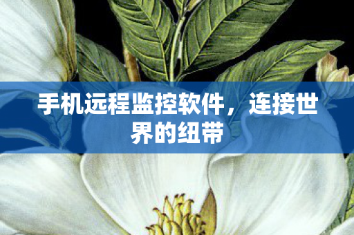 手机远程监控软件图片