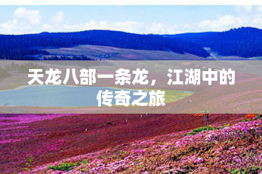 江湖中的传奇之旅图片
