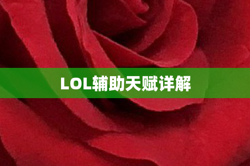 LOL辅助天赋详解图片
