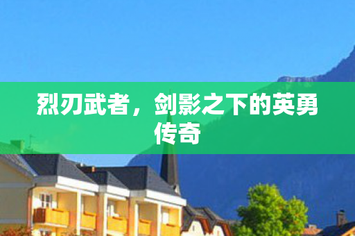 剑影之下的英勇传奇图片