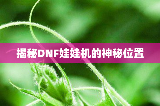揭秘DNF娃娃机的神秘位置图片