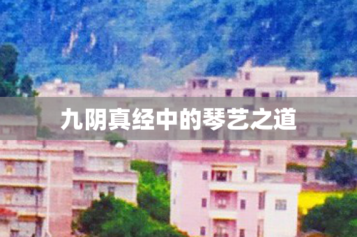 九阴真经中的琴艺之道图片