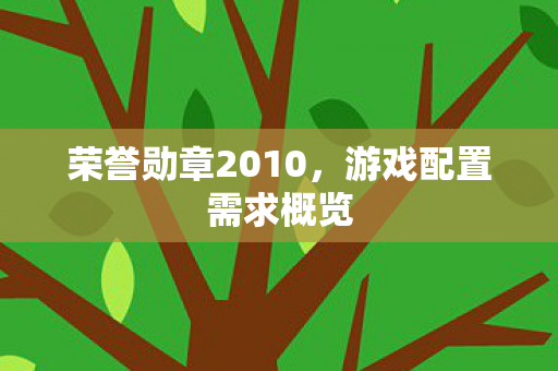 荣誉勋章2010图片