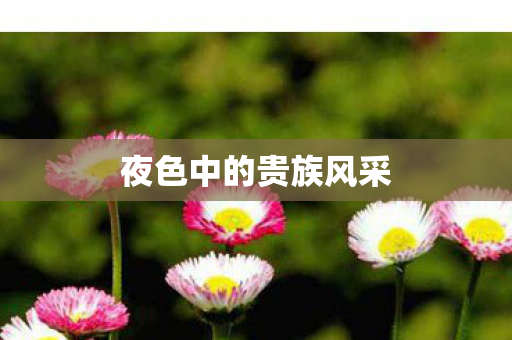 夜色中的贵族风采图片