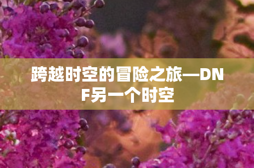 跨越时空的冒险之旅图片
