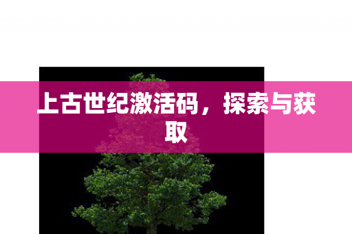 上古世纪激活码图片