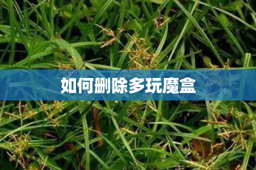 如何删除多玩魔盒图片