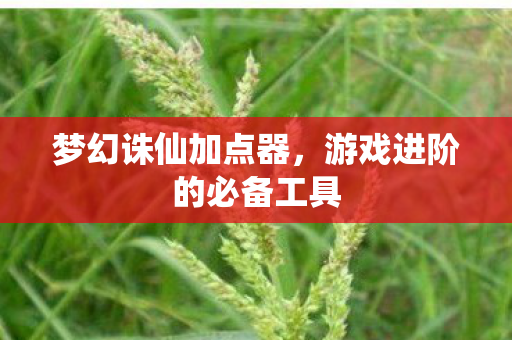 游戏进阶的必备工具图片