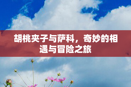 奇妙的相遇与冒险之旅图片