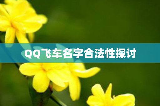 QQ飞车名字合法性探讨图片