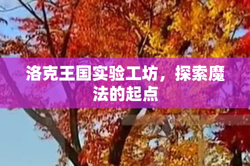 洛克王国实验工坊图片