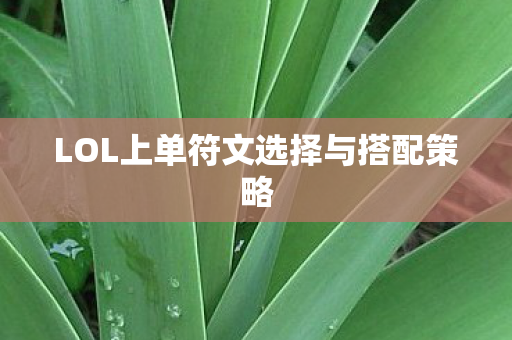 LOL上单符文选择与搭配策略图片