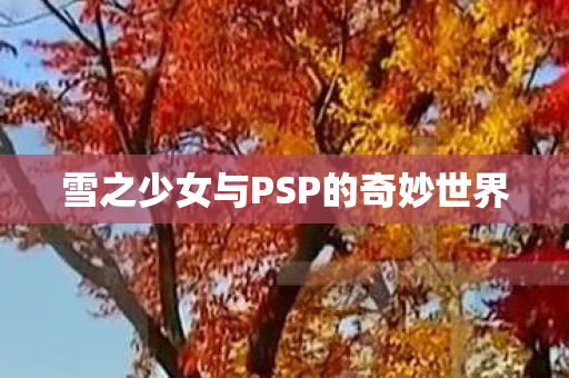 雪之少女与PSP的奇妙世界图片