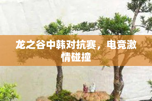 龙之谷中韩对抗赛图片