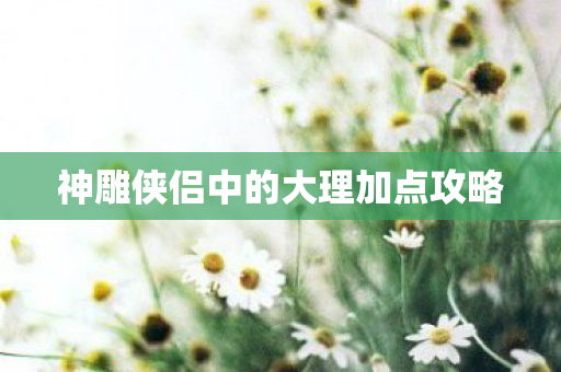 神雕侠侣中的大理加点攻略图片