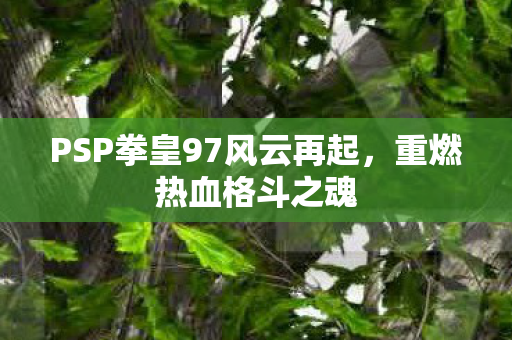 PSP拳皇97风云再起图片