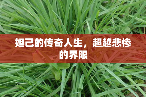 妲己的传奇人生图片