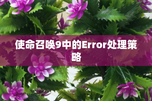 使命召唤9中的Error处理策略图片